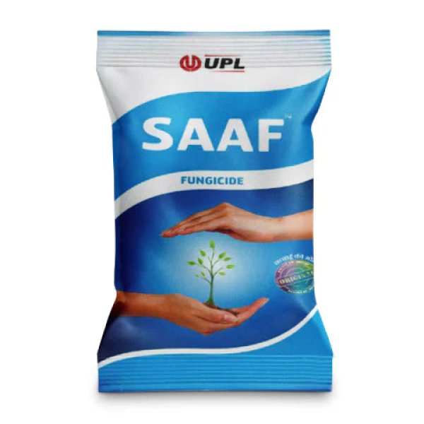 SAAF -- 100gm