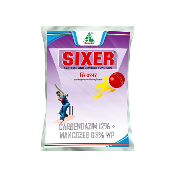 Sixer