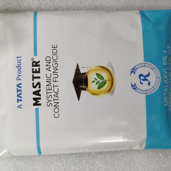 Tata master
