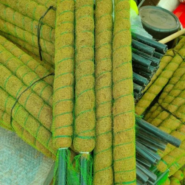 Moss stick 2.5ft