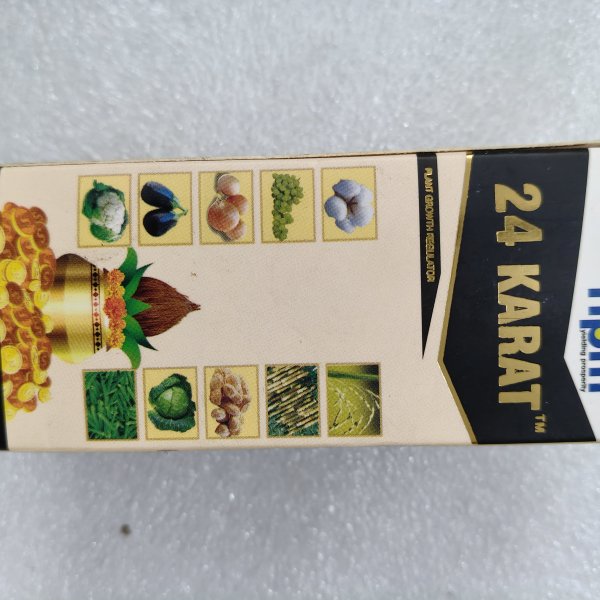 24 karat