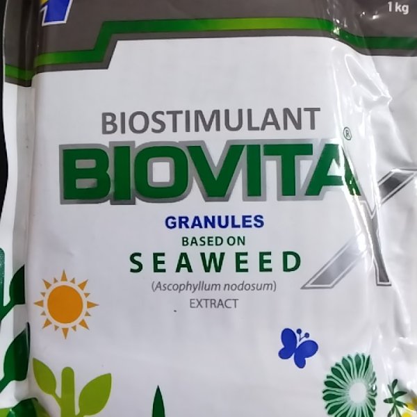 Biovita x GR - Brown Seaweed