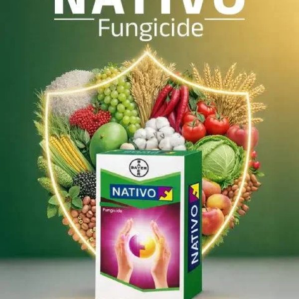 Bayer Nativo Fungicide 10g