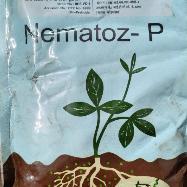Nematoz p