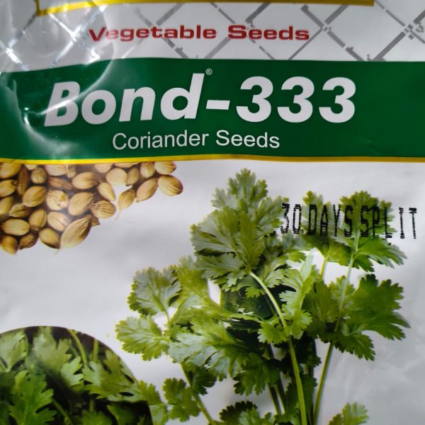 Coriander