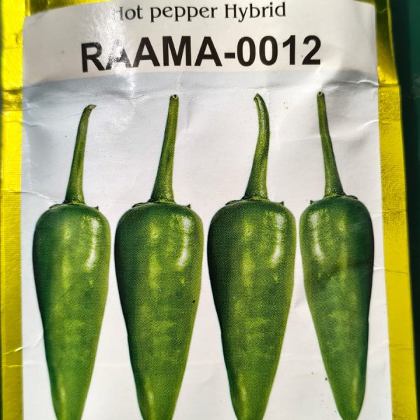 Chilli