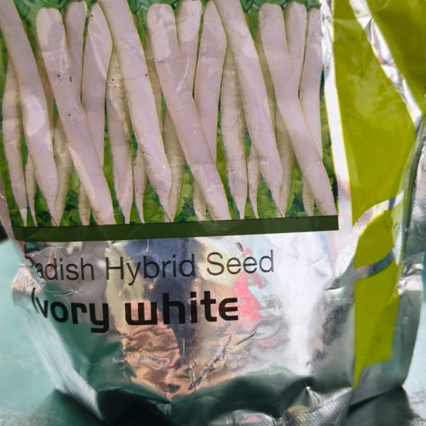 White raddish