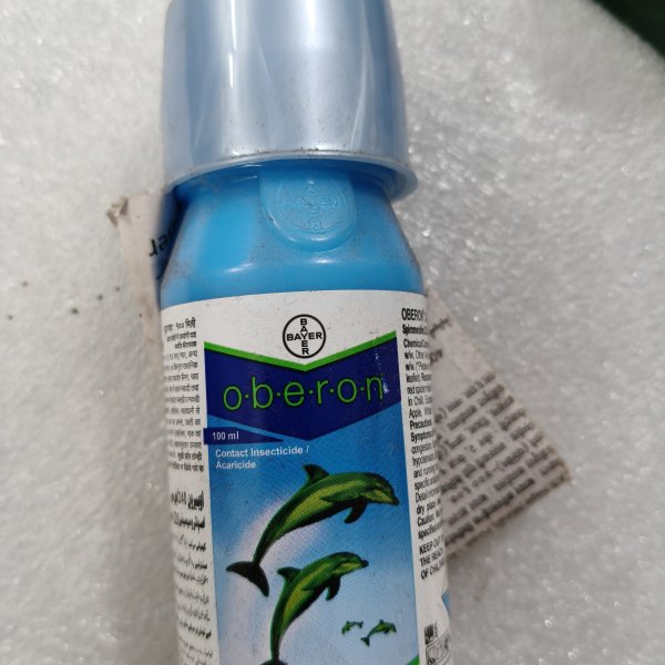 oberon 100ml